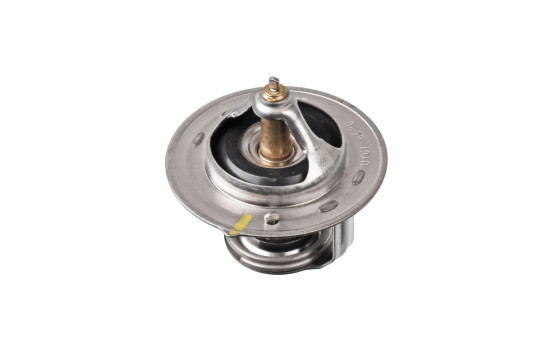 Thermostat, coolant ADG09244 Blue Print