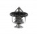 Thermostat, coolant ADK89209 Blue Print, Thumbnail 2