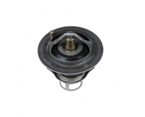 Thermostat, coolant ADN19217 Blue Print