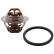 Thermostat, coolant ADN19240 Blue Print