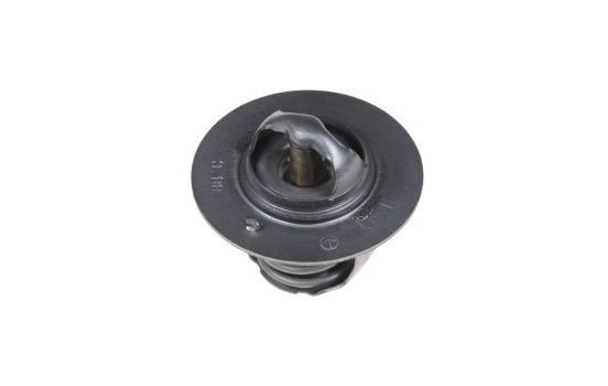 Thermostat, coolant ADT39203 Blue Print
