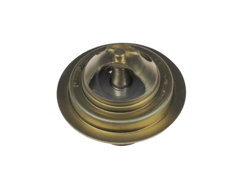 Thermostat, coolant ADZ99202 Blue Print