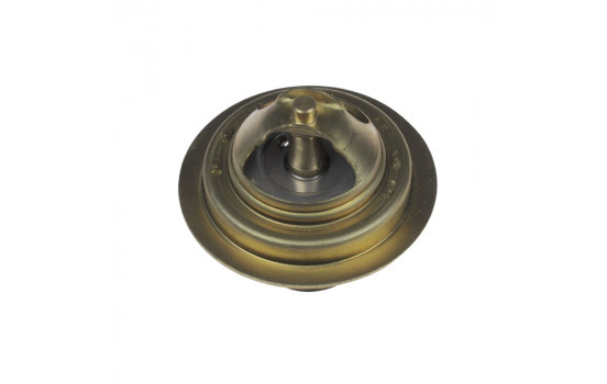 Thermostat, coolant ADZ99202 Blue Print