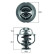 Thermostat, coolant BEHR