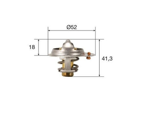 Thermostat, coolant BEHR