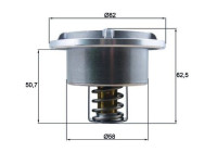 Thermostat, coolant BEHR