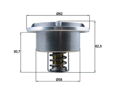 Thermostat, coolant BEHR