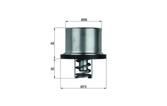 Thermostat, coolant BEHR