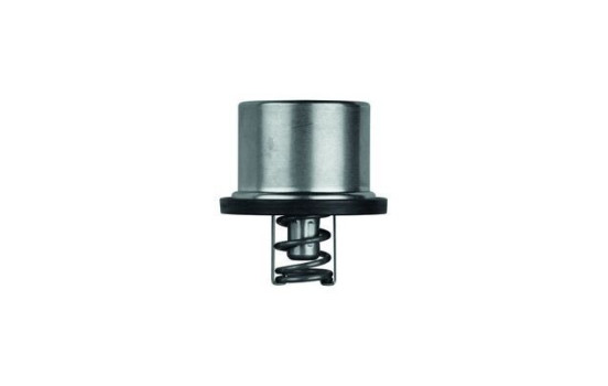 Thermostat, coolant BEHR, Image 2