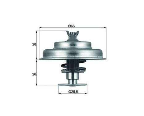 Thermostat, coolant BEHR