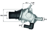 Thermostat, coolant BEHR