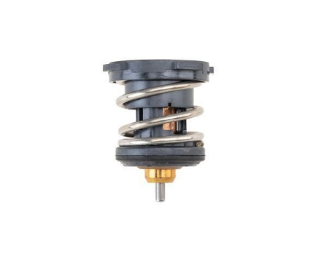 Thermostat, coolant BEHR