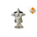 Thermostat, coolant EASY FIT, Thumbnail 4