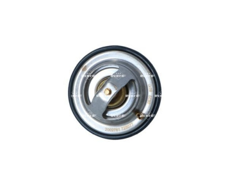 Thermostat, coolant EASY FIT