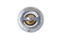 Thermostat, coolant EASY FIT