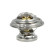 Thermostat, coolant EASY FIT