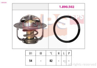Thermostat, coolant Made in Italy - OE Equivalent