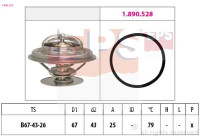 Thermostat, coolant Made in Italy - OE Equivalent