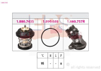 Thermostat, coolant Made in Italy - OE Equivalent