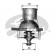 Thermostat, coolant TH15192G1 Gates