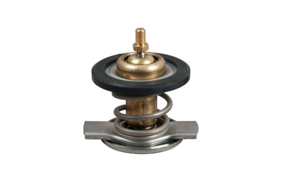 Thermostat, coolant TH50187G1 Gates