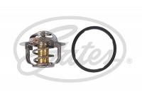 Thermostat, coolant TH52488G1 Gates
