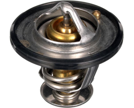 Thermostat, coolant TH56189G1 Gates