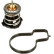 Thermostat, coolant TH59787G1 Gates