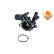 Thermostat, coolant