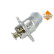 Thermostat, coolant, Thumbnail 6