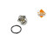 Thermostat, coolant