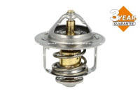 Thermostat, coolant