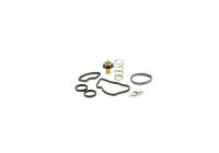 Thermostat, coolant