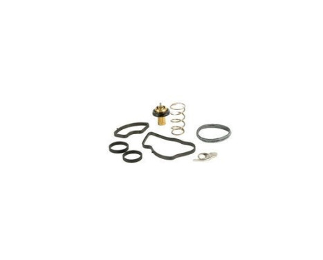 Thermostat, coolant