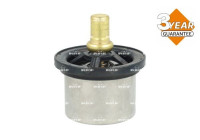 Thermostat, coolant