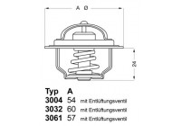 Thermostat, coolant