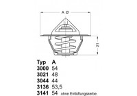 Thermostat, coolant