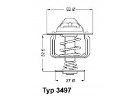 Thermostat, coolant