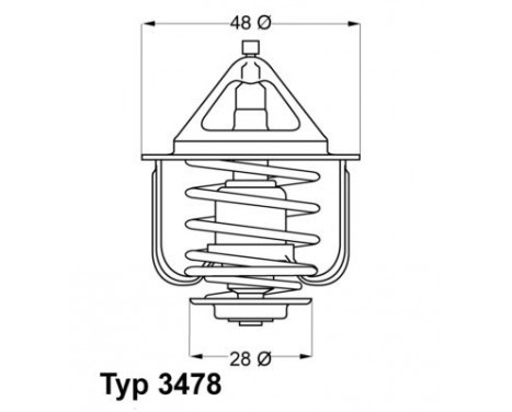 Thermostat, coolant