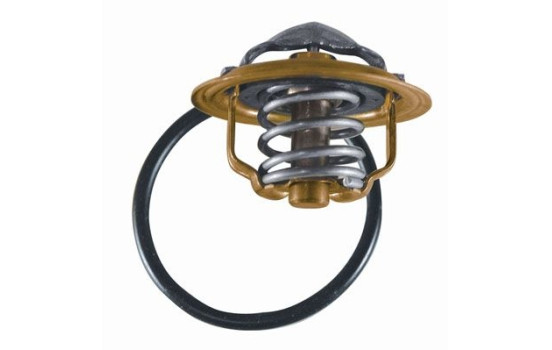 Thermostat, coolant, Image 2