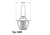 Thermostat, coolant
