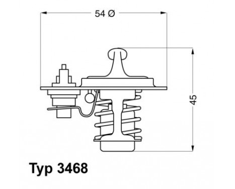 Thermostat, coolant