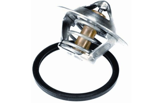 Thermostat, coolant, Image 2