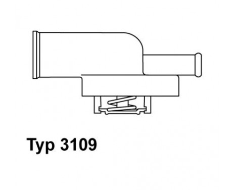 Thermostat, coolant