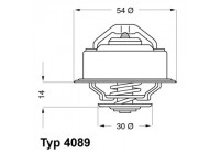 Thermostat, coolant