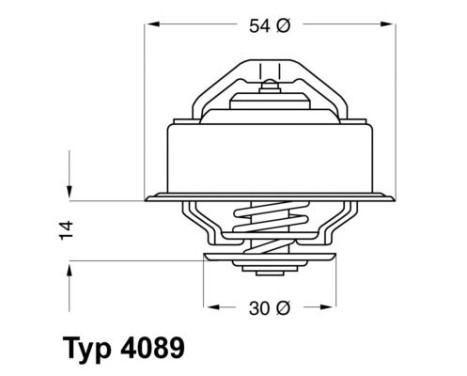 Thermostat, coolant