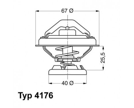 Thermostat, coolant
