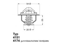 Thermostat, coolant