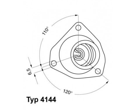 Thermostat, coolant