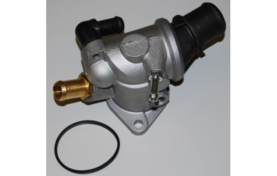 Thermostat, coolant